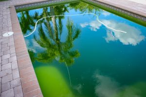 Private pool before cleaning